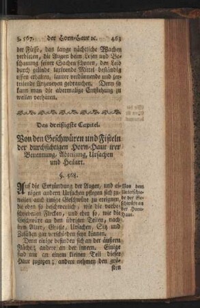Das dreißigste Capitel. Von den Geschwüren und Fisteln der durchsichtigen Horn-Haut irer Benennung, Abteilung, Ursachen und Heilart