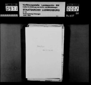 Allmanden und Realgemeinderechte zu Unterriffingen und in der Teilgemeinde Oberriffingen