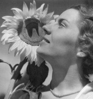 "Sonnenblumen"