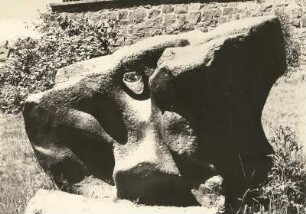 Oligozäner Knollenstein (Quarzit) mit Wurzelröhren. Burgberg bei Grimma-Hohnstädt