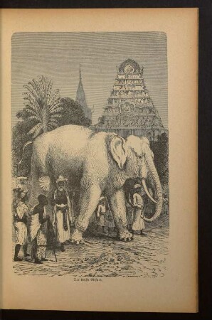 Tafel: Der weiße Elefant.