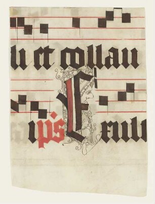 Teil einer Notenhandschrift mit lateinischem Text