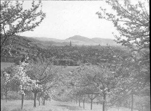 Blick auf Freiburg