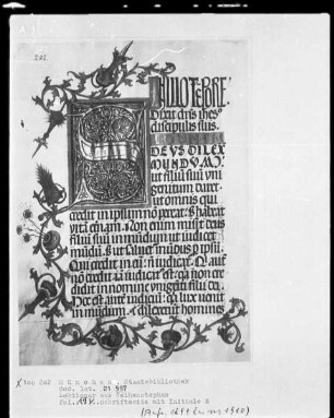 Lektionar für Kloster Weihenstephan angefertigt — Initiale S und Dreiviertelbordüre, Folio 19verso