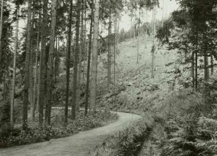 Bobritzschtal. Grabentour, Kunstgraben und Grabenweg unter der Buchneborn-Rösche