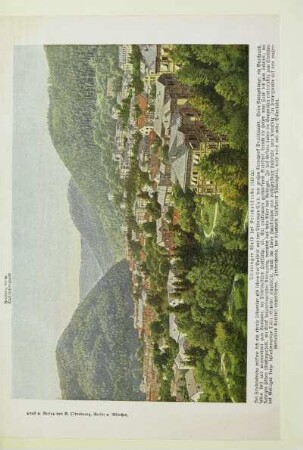 Thüringer Wald bei Friedrichroda (440 m)