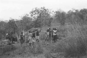 Lagerhütten-Bau am Tendaguru : Savannenlandschaft mit Expeditionshelfern, die eine Lagerhütte aufbauen.