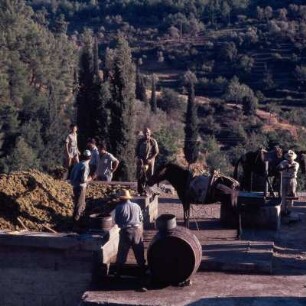 Samos. Klosterplatz bei Pyrgos. E70. Sm84 : Samos. Klosterplatz bei Pyrgos. Treuben der Weinernte