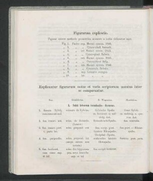 Figurarum explicatio.