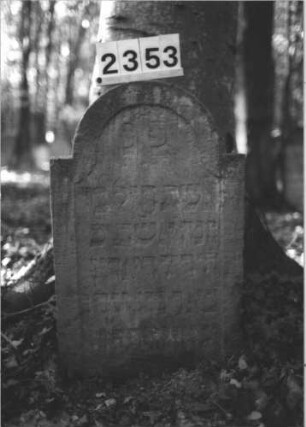 Grabstein 2353