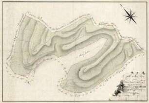 Geometrischer Plan über den im Freiaemter Bann liegenden herrschaftl. Steck- und Wiedenwald