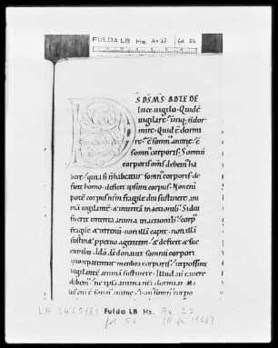 Augustinus, Enarrationes in Psalmos 51-100 — Initiale D, Folio 56 recto