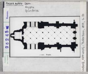 Paderborn: Dom, Krypta Grundriss
