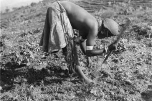 Feldarbeit : Eine Frau der Konso bei der Feldarbeit mit Grabstock