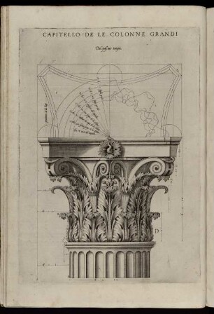 Capitello De Le Colonne Grandi.