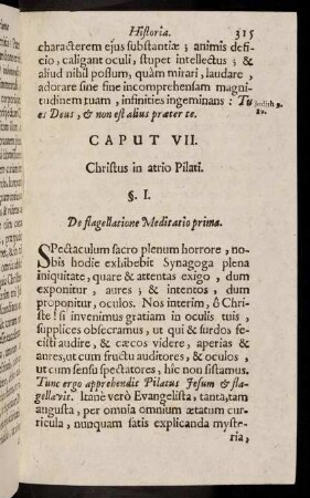 315-326, Caput VII