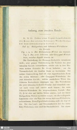 Anhang zum zweiten Bande