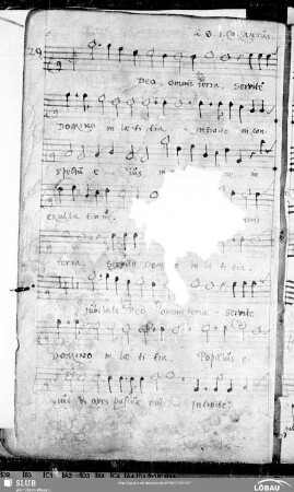 29 Elias Groskurdt: Jubilate Deo