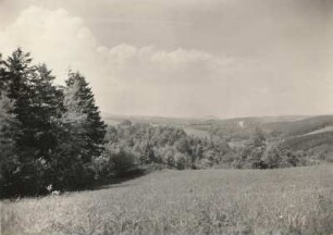 Müglitztal vom Feldweg Lauenstein - Liebenau, im Hintergrund Schloß Bärenstein