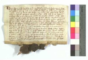 [Text = U / 1334 Dezember 5]. Mit Eid besagt vor Salmann, Kämmerer, und den Richtern Nikolaus und Volkmar. "Acta 1335 feria quarta proxima post festum nativitatis beati Johannis Baptiste."