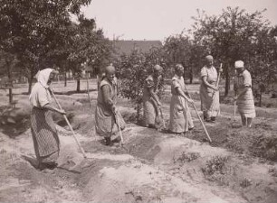 Weinböhla, Spargel-Plantage. Frauen beim Jäten