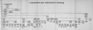Uebersicht der männlichen Ebeling.