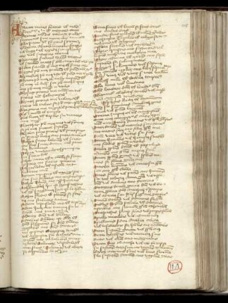 [Interpretatio Hebraicorum nominum]