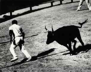 Stierkampfszene in der Provence