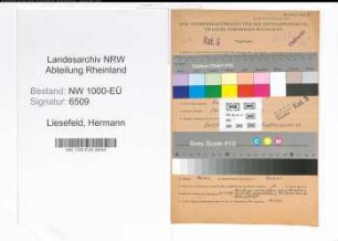 Entnazifizierung Hermann Liesefeld, geb. 13.11.1895 (Angest.)
