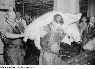 Fleischer mit einem toten Schwein
