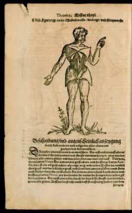 Beschreibung und augenscheinliche anzeygung Hertz/ Leberadern/ unnd volgents aller adern am gantzen leib des menschen.