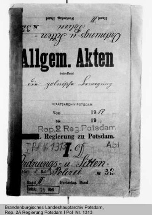 Die polnische Bewegung. Allgemeines