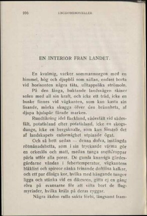 En Interiör Från Landet.