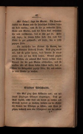 Elfter Abschnitt.