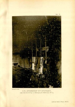 Taf. 36. Lasa, Opfergerüst mit Opfergaben