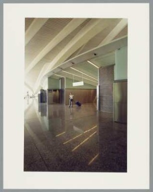 Flughafen Bilbao, Innenansicht