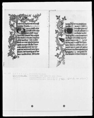 Gebetbuch der Prinzessin Sibylla von Kleve — Initale V mit anschließender Ranke