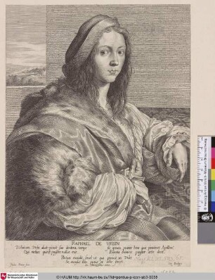 Raphael de Urbin [Porträt eines jungen Mannes (Raphael); Raphael; Portret van Raphael]