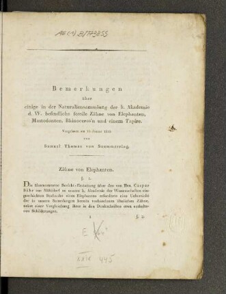 Bemerkungen über einige in der Naturaliensammlung der k. Akademie d. W. befindliche fossile Zähne von Elephanten, Mastodonten, Rhinoceros'n und einem Tapire.