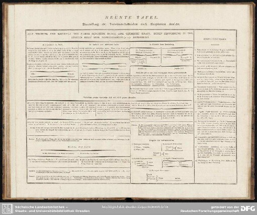 Neunte Tafel. Darstellung der Verwandschaftslehre nach Bergmanns Ansicht