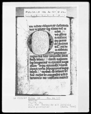 Brevier — Initiale Q(uid gloriaris), Folio 53verso