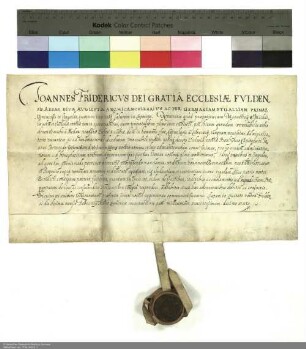 Johann Friedrich [von Schwalbach], Abt von Fulda, verleiht Johann Bernhard Schenck zu Schweinsberg die Propstei Michaelsberg