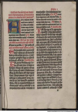 Missale Dominorum Teutonicorum