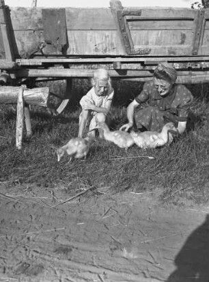 Cotta, Mädchen und Frau mit Küken : Cotta. Getreideernte. Arbeitspause
