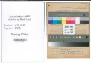 Entnazifizierung Walter Thesing , geb. 13.06.1912 (Vermessungsbeamter)