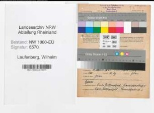 Entnazifizierung Wilhelm Laufenberg, geb. 11.03.1882 (Unternehmer)