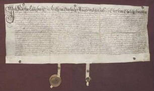 Gültbrief des Martin Lang, Bürgers zu Rintheim, und seiner Ehefrau Ester gegen die Amtsverwaltung Mülberg [Mühlburg] über 25 fl.