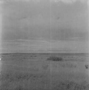 Graslandschaft : Blick über Kultur- und Weidelandschaft
