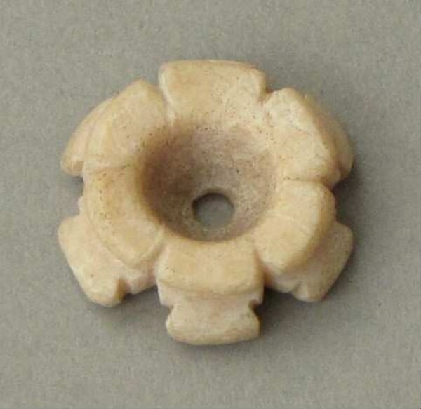 Shell ornament