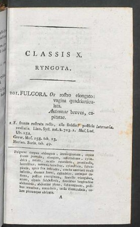 201. Fulgora. - 205. Cercopis.